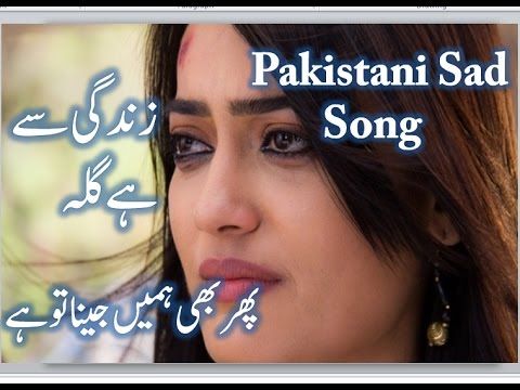 Jaane Woh Kaise Log The Jinke Waqar Ali Mp3 Download